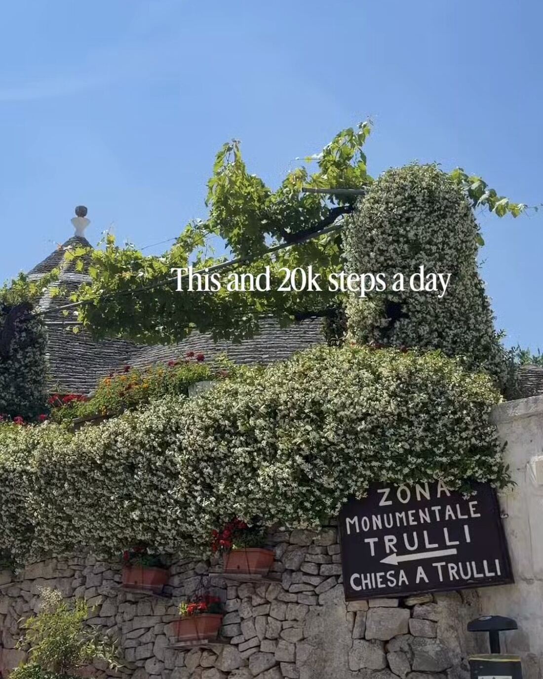 Trulli rooftops and a flowering stone wall in Alberobello, Italy, with the on-screen text “This and 20k steps a day,” from a Reel for The Travel Boutique